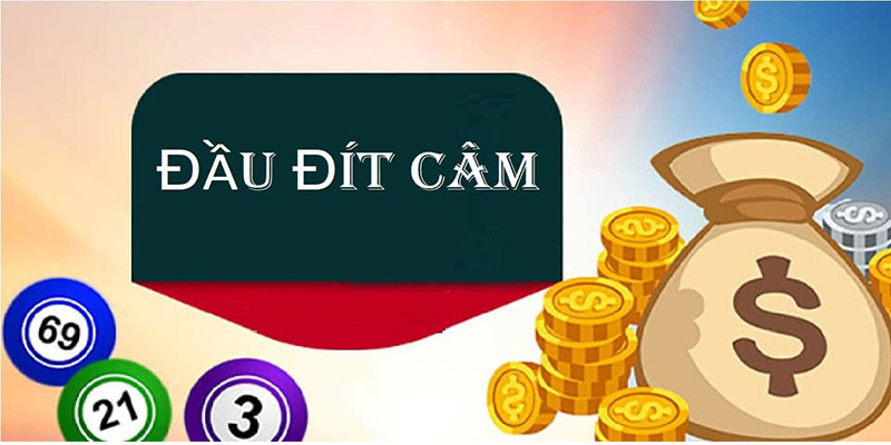 Dự đoán xổ số miền Bắc theo đầu câm đuôi câm