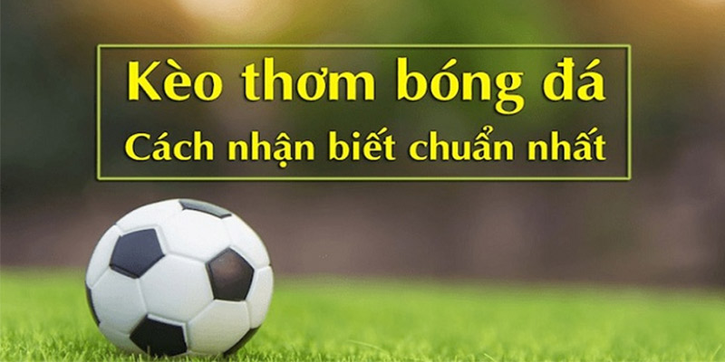 Hướng dẫn chọn kèo bóng đá