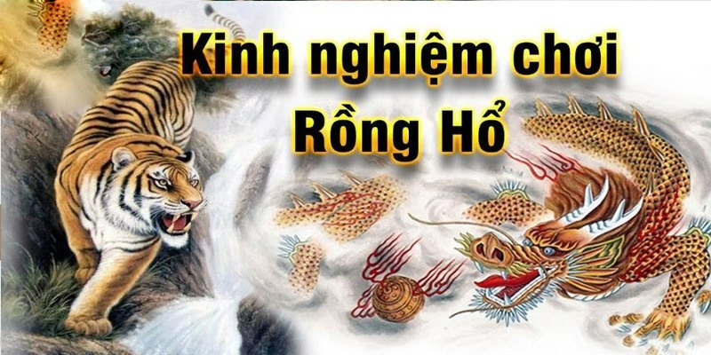 Kinh nghiệm chơi Rồng Hổ