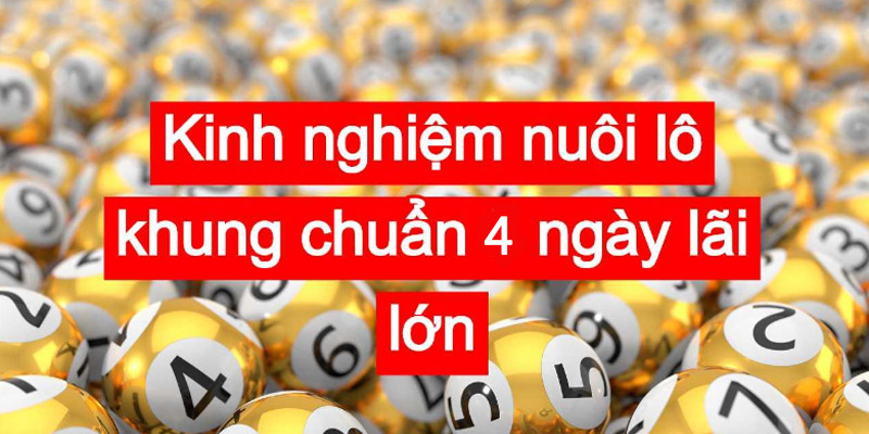 Kinh nghiệm nuôi lô bạch thủ khung 4 ngày