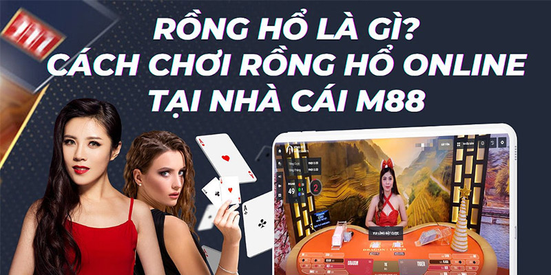 Nên chơi Rồng Hổ tại M88