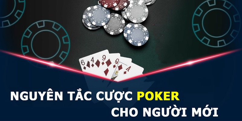 Thông tin cược Poker