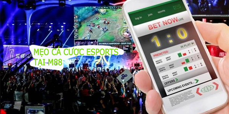 Mẹo cá cược Esports M88